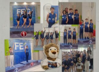 Gimnasia: buenos resultados y varias clasificaciones nacionales para representantes de la ciudad