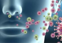 Influenza A: detectan en Entre Ríos el subclado J.2.4.1/K