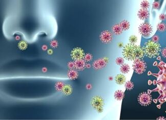 Influenza A: detectan en Entre Ríos el subclado J.2.4.1/K
