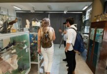 Adultos mayores participarán de una recorrida especial por el Museo de Ciencias Naturales