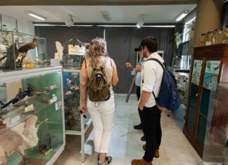 Adultos mayores participarán de una recorrida especial por el Museo de Ciencias Naturales
