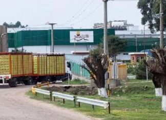 Granja Tres Arroyos: una crisis que golpea a tres provincias