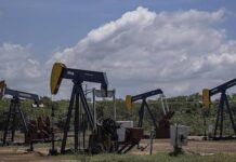 El G7 liberará 100 millones de barriles de petróleo para contener los precios