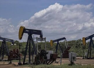 El G7 liberará 100 millones de barriles de petróleo para contener los precios