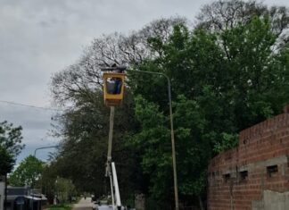 Avanza la renovación del alumbrado público