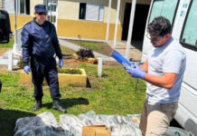 Senasa decomisó 200 kilos de pescados y mariscos en Sauce de Luna