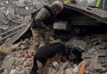 Bombardeos rusos en Zaporiyia: al menos ocho muertos y 16 heridos
