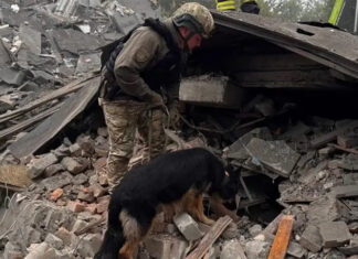 Bombardeos rusos en Zaporiyia: al menos ocho muertos y 16 heridos