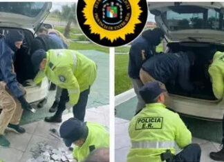 Secuestran 38 mil pastillas en la Ruta 14