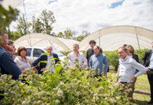 Frigerio recorrió una empresa frutícola que proyecta inversiones para ampliar su producción y exportaciones