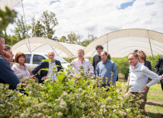 Frigerio recorrió una empresa frutícola que proyecta inversiones para ampliar su producción y exportaciones
