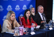El Senado avanza con la reforma de la Ley de Salud Mental