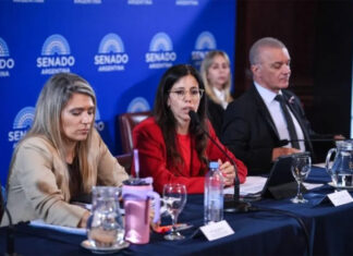 El Senado avanza con la reforma de la Ley de Salud Mental