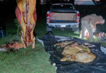 Un hombre fue detenido por abigeato tras un procedimiento en un campo de Colón