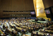 Estados Unidos pidió disolver el comité de la ONU que aborda el reclamo argentino por Malvinas