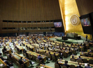 Estados Unidos pidió disolver el comité de la ONU que aborda el reclamo argentino por Malvinas