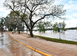 Comenzó el regreso de las familias evacuadas en Concordia tras la crecida del río