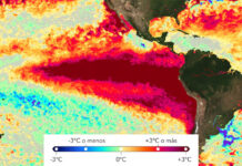 La OMM advierte que El Niño podría alcanzar una intensidad excepcional hacia fines de 2026