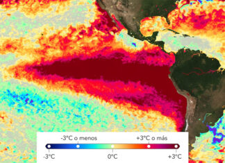 La OMM advierte que El Niño podría alcanzar una intensidad excepcional hacia fines de 2026
