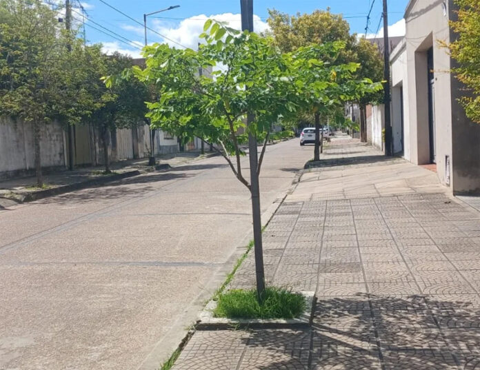 Sin-título-1