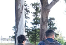 Detuvieron a un joven por el robo de un lavatorio en el Club Gimnasia
