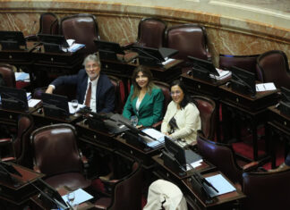 El Senado aprobó la reforma de la Ley de Salud Mental y habilitó nuevas condiciones para las internaciones involuntarias