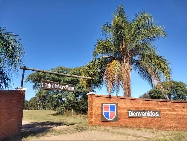 Sin-título-1