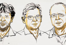 Tres científicos recibieron el Nobel de Medicina por sus avances en optogenética
