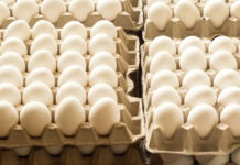 Argentina se encamina a un nuevo récord mundial de consumo de huevos