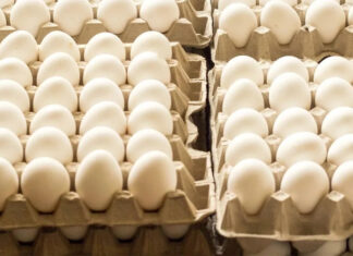 Argentina se encamina a un nuevo récord mundial de consumo de huevos