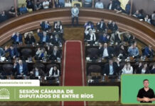 Diputados aprobó la adhesión de Entre Ríos a la ley nacional de Fonoaudiología