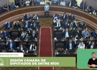 Diputados aprobó la adhesión de Entre Ríos a la ley nacional de Fonoaudiología