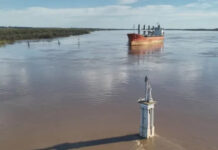 El puerto de Concepción del Uruguay sumó un nuevo buque y prepara dos exportaciones