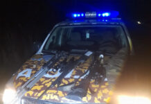 Secuestraron dos ciervos axis y dos fusiles durante un operativo en Villa Mantero