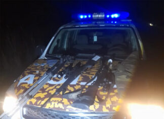 Secuestraron dos ciervos axis y dos fusiles durante un operativo en Villa Mantero