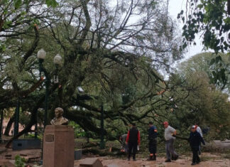 Temporal en Concepción del Uruguay: continúan las tareas de limpieza y relevamiento