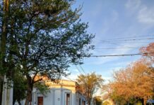Tránsito: más de 295 multas y 51 vehículos retenidos en septiembre