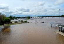 El río Uruguay baja en dos ciudades y se mantiene estable en Concepción del Uruguay