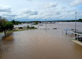 El río Uruguay baja en dos ciudades y se mantiene estable en Concepción del Uruguay