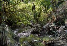 Estrenan en Paraná un documental sobre el arroyo La Santiagueña y La Tribu del Salto