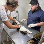 Zoonosis (2) (2)