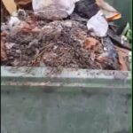 contenedores destruidos 2