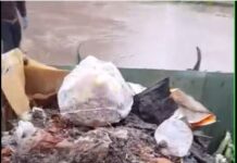 Arrojaron tierra y escombros en dos contenedores y quedaron destruidos