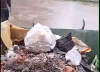 Arrojaron tierra y escombros en dos contenedores y quedaron destruidos