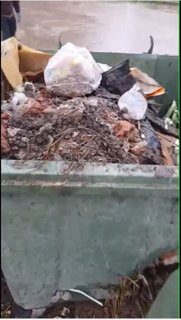 contenedores destruidos 2