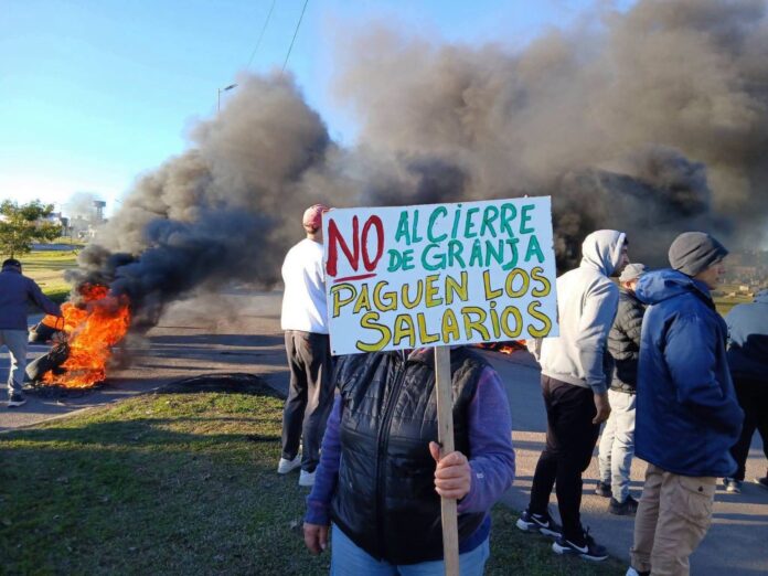 pagina 3 Desmienten el regreso de trabajadores a La China